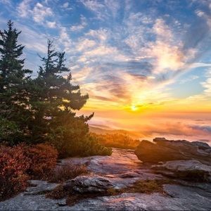 Meet your Posher, Noelle